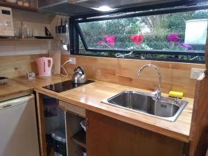 une cuisine avec évier et une fenêtre ornée de fleurs roses dans l'établissement Modo tiny relax spa, à Duggan