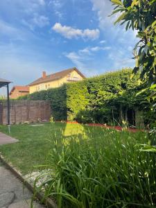 a yard with a hedge and a house at Fewo BOHO mit eigenem Garten nähe Salzburg in Freilassing