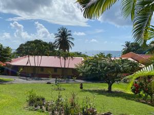 une maison avec un palmier en face d'une cour dans l'établissement Appartement caritan Ste Anne Martinique, à Sainte-Anne