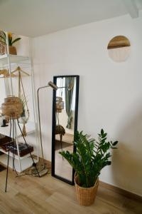 een spiegel en een potplant in een kamer bij El estudio de Jessica in La Laguna