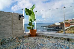una pianta in vaso seduta su un balcone con vista sull'oceano di El estudio de Jessica a La Laguna