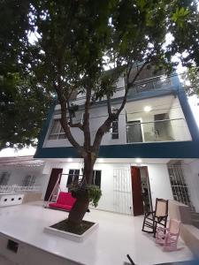 una casa con un árbol delante de ella en Apartaestudio Cartagena 4P, en Cartagena de Indias