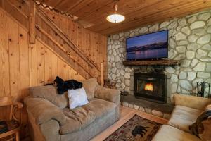 大熊湖的住宿－Bear Pause -Walk to lake and Alpine Slides! Beautiful knotty pine interior!，坐在沙发上的猫坐在带壁炉的客厅