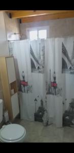 ein Bad mit einem WC und einem Duschvorhang in der Unterkunft Posada Atardeceres in Puan