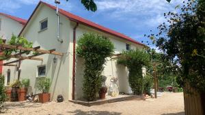 a house with plants on the side of it at Quinta Vale Salgueiro in Seia