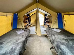 two beds in the inside of a tent at Mycow Accommodation Mackay in Mackay