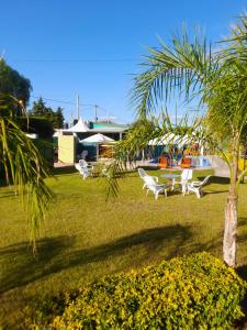 a group of chairs and a table and a palm tree at Cabañas Puertas del Sol in La Rioja