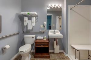 a bathroom with a toilet and a sink at The Riverstone Inn in Towanda