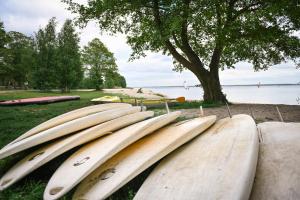 una fila de tablas de surf sentadas en el césped cerca del agua en Sleep Space - Green Tiny Spot Steinhuder Meer en Neustadt am Rübenberge