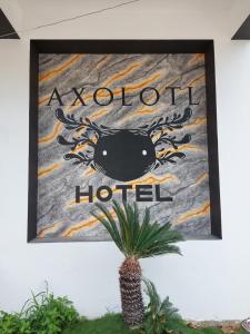 Fotografie z fotogalerie ubytování Hotel Axolotl v destinaci Puerto Escondido + 37 fotografií