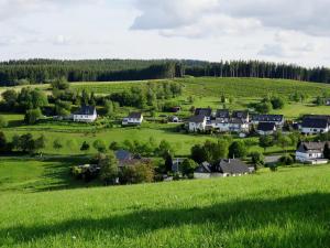 uma pequena aldeia no meio de um campo verde em Romantik Ferienhaus 1854 em Elpe
