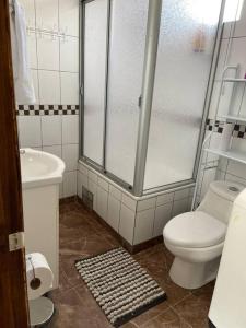 uma casa de banho com um chuveiro, um WC e um lavatório. em Departamento centro de Quellón em Quellón