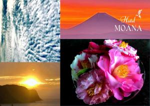 Fotografie z fotogalerie ubytování Hotel MOANA絶景オーシャンビューカフェラウンジ朝食付き v destinaci Oshima