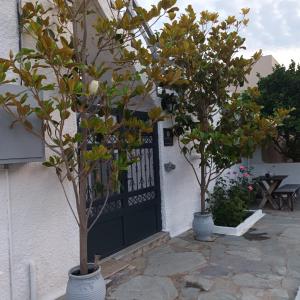 dos árboles en macetas delante de una puerta en Magnolia Senses, en Kini