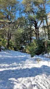 a snow covered ground with trees in the background at La Ruta de Los Volcanes - Las Trancas Chillán in Las Trancas