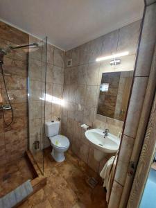 a bathroom with a toilet and a sink and a shower at SeaHorse GuestHouse in Năvodari
