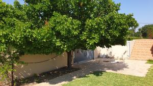 Gallery image of Evimerou Villa in Kos Town