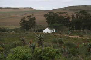 a white house in the middle of a field at Infinity farm in Riversdale