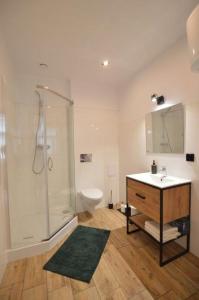 a bathroom with a shower and a sink and a toilet at Apartament nad Wisłą in Płock