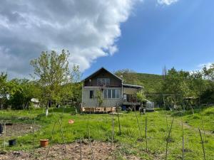 a house in a field with trees in the foreground at Eco family guest house in Mlashe