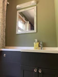 a bathroom with a sink and a mirror at Lochness Glam Lodges in Inverness