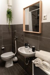 uma casa de banho com um WC, um lavatório e um espelho. em Businessapartment I Balkon I Messe I Parken I schnelles WLAN em Essen