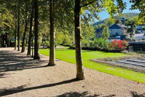 a row of trees in a park with grass at Jacuzzi - BBq - Jardin - Garden Lodge - Le Tulipier in Olne