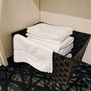 Fotografie z fotogalerie ubytování AYA Hotel v Tokiu