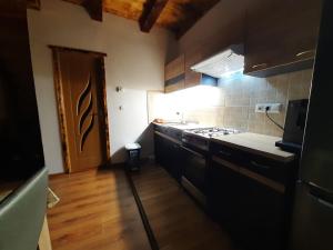 una pequeña cocina con fogones y fregadero en Mountain Cozy Home, en Sub Cetate
