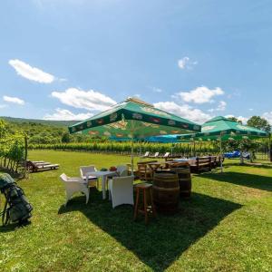 波德戈里察的住宿－Purple Eye Camp & Winery，一组绿伞下的桌椅