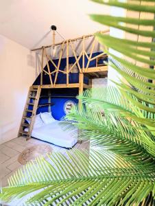 sypialnia z łóżkiem piętrowym i liściem palmowym w obiekcie Au geko bleu w mieście Saint-Pierre
