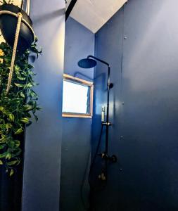 niebieska łazienka z prysznicem i rośliną w obiekcie Au geko bleu w mieście Saint-Pierre