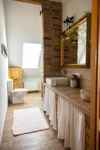 W łazience znajduje się umywalka, toaleta i lustro. w obiekcie Twórcze Poddasze Elgnowo w mieście Dąbrówno