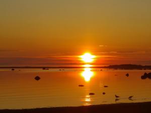 una puesta de sol en la playa con aves en el agua en Northern Lights - Cozy apartment, en Kalajoki