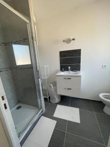 La salle de bains est pourvue d'une douche, d'un lavabo et de toilettes. dans l'établissement Studio meuble Kenaya 29m2., à Saint-Étienne-du-Rouvray