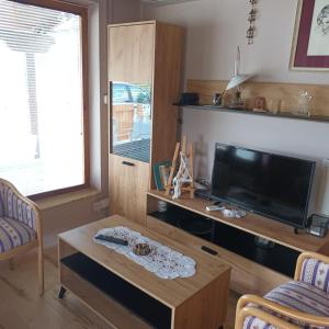 TV a/nebo společenská místnost v ubytování Apartmani sa pogledom na Dunav - Akademik