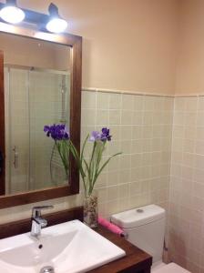 baño con lavabo y aseo con flores púrpuras en Cal Viudeta, en Vilanova de Meià