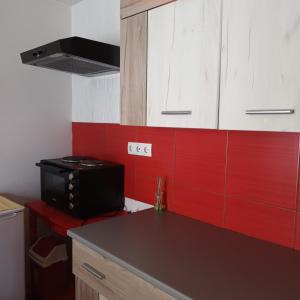 Kuchyň nebo kuchyňský kout v ubytování Apartmani sa pogledom na Dunav - Akademik