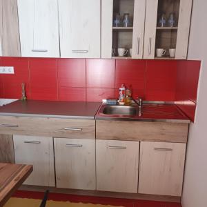 Kuchyň nebo kuchyňský kout v ubytování Apartmani sa pogledom na Dunav - Akademik