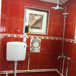 Koupelna v ubytování Apartmani sa pogledom na Dunav - Akademik