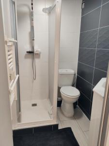 uma pequena casa de banho com WC e chuveiro em Studio spacieux aux portes de la Camargue em Beauvoisin
