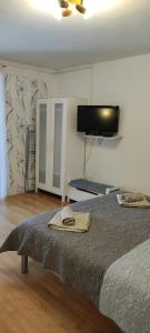 a bedroom with a bed and a flat screen tv at Apartments Aleksandra in Crikvenica