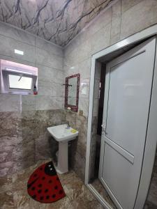 a bathroom with a sink and a shower with a door at A beautiful villa with a swimming pool in the gebele in Gabala