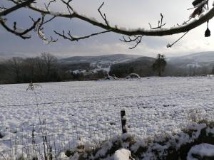 ein schneebedecktes Feld mit einem Zaun in der Unterkunft b&b la belle vie in Érezée