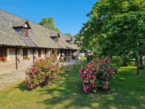 Une rangée de maisons avec des fleurs roses dans une cour dans l'établissement la ferme chevalier, à Équemauville