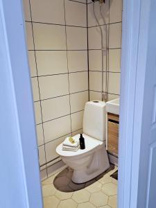 łazienka z toaletą i umywalką w obiekcie Attefallshuset w mieście Hyllinge