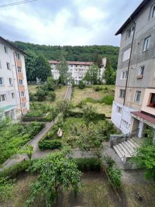 a view of a garden between two buildings at The Retreat in Sinaia