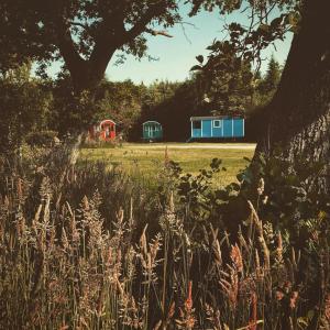 un campo de césped con edificios en el fondo en Pipowagens bij Pannenkoekenrestaurant & Camping De Koppenjan 'Een uniek verblijf met kinderspeelboerderij', en Jubbega-Schurega