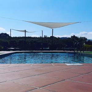 a swimming pool with a white canopy over it at Aldea Ecorural in Vilar de Canes