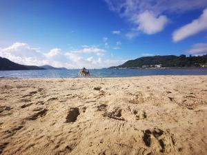 a person riding a horse on the beach at A private room in beachside bungalow for women only in Hong Kong